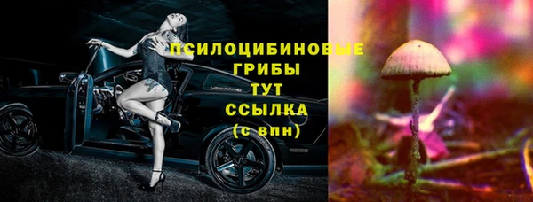 соль ск Алзамай