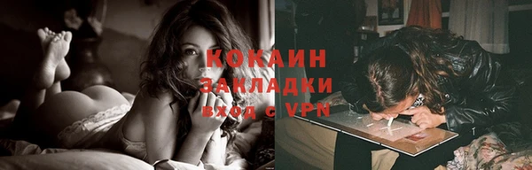 Альфа ПВП Лагань
