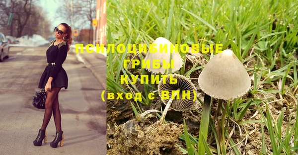 соль ск Алзамай