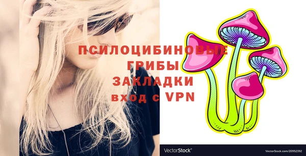 мет Алексин