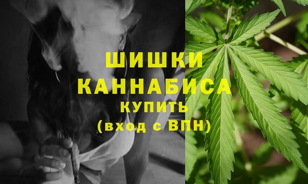 соль ск Алзамай